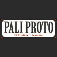 PaliProto 3D (@paliproto) 's Twitter Profile