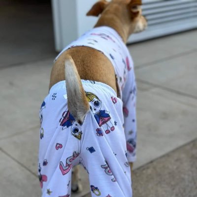 qbaixaria's profile picture. o próprio mar de ressaca 🌊