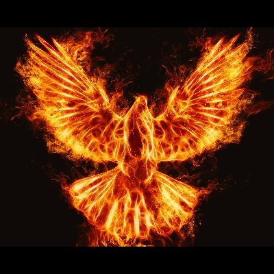 Mankind_Phoenix Profile Picture