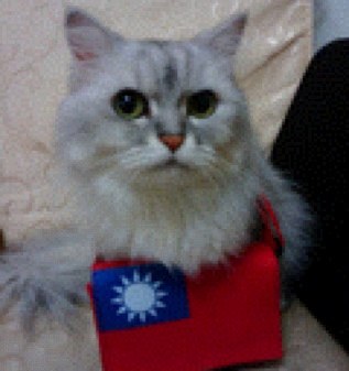 Miruku T.Y Huang