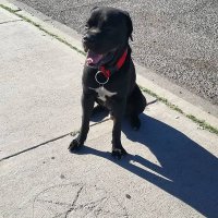 astromona (@bebaganoush) 's Twitter Profile