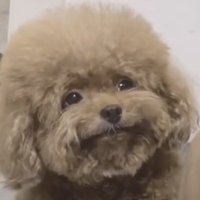 timas (@porquetimas) 's Twitter Profile Photo timas (@porquetimas) 's Twitter Profile Photo