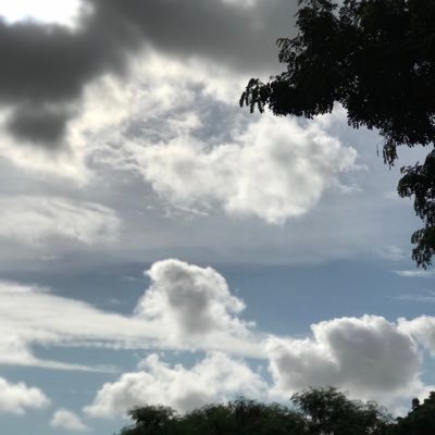 aita_dia's profile picture. ''Aïta Ndir Dia: Les Chroniques d’une Autruche: Your pain has a purpose.'' Ed Dinosaure, 2021. Happily married with the love of my life ❤️