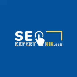 SEO Expert Nik provides the best search engine optimization services worldwide 🌐 to every kind of business and industries in order to get Google page 1 ranking