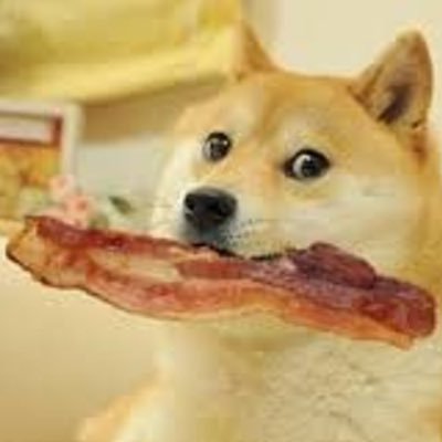 BaconThatBurge1 Profile Picture