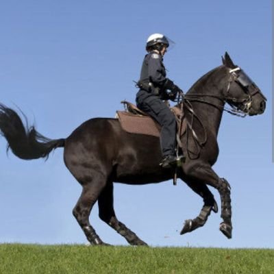 NOT a RANDOM MURDER HORSE Traditional Noose Horse / Natural Race Horse F🍁ck you, freedumbies🖕#NeverPoilievre 😈 Rush YYZ (Live) 🤘