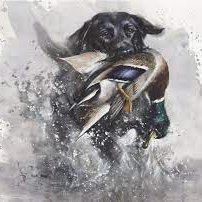 husband, father of twins, 7th grade US History Teacher & Quiz Bowl Coach. Avid duck hunter