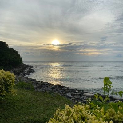 notmylevel20's profile picture. ❤️