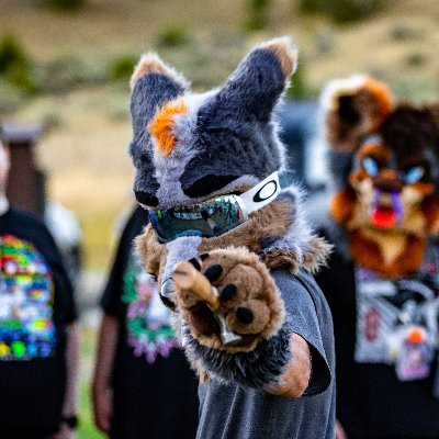 Wildlife Biologist, snowboarder, climber, and doer of lots of things outdoors. I use this as a photo dump for my adventures. Bees? 18+ topics. 📷 @PhenrisDurr