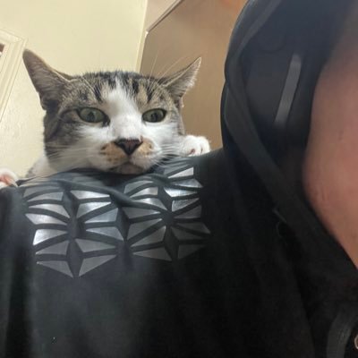 vphilips_'s profile picture. Lifestyle Management