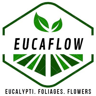 Venta al mayoreo y menudeo
Envíos en MX y USA
Producimos la mejor calidad de eucaliptos, follajes y flores!
IG: eucaflow_
Tik Tok: eucaflow_