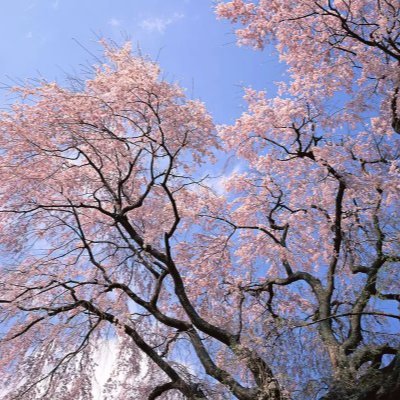 kristyw03327101's profile picture. 