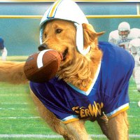 ๐พAirBud Buddy๐พ (@famousairbud) 's Twitter Profile Photo ๐พAirBud Buddy๐พ (@famousairbud) 's Twitter Profile Photo