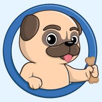Pug'z Verse (@nft_pugz) 's Twitter Profile