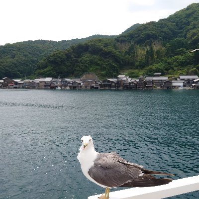 京都の細Ｐです。ご相談があればいつでもどうぞ。秘密厳守でお願いします🙇