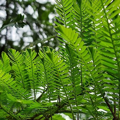 followshubhu's profile picture. #blogger #nature #PetLover