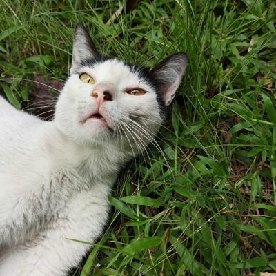 geresa_vgs's profile picture. 🌙