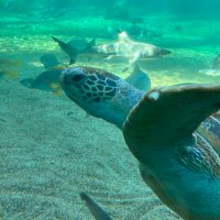 坊主 (@tamotsu0704dasu) 's Twitter Profile