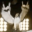 Jimmy_The_Lip3's profile image