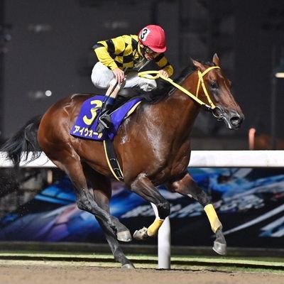 水野貴史（浦和競馬調教師）