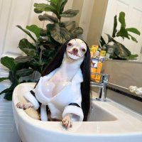 May (@may10208093) 's Twitter Profile