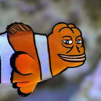 Aquarium is back on twitter
|
Catholic Clownfish