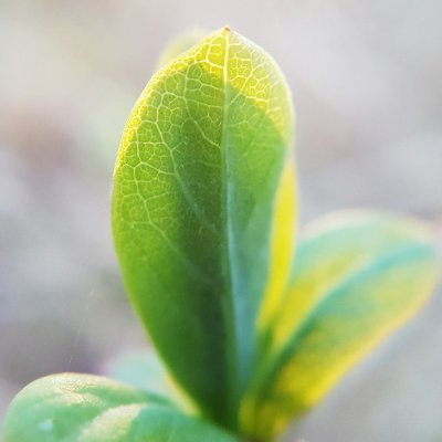 basicwisdom's profile picture. We are a Finland-based nonprofit organization and think tank striving to increase wisdom and understanding in the world.