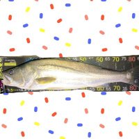 1moon (@rage1118srh) Twitter profile photo