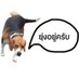 Cs (@beagleiscool) Twitter profile photo Cs (@beagleiscool) Twitter profile photo