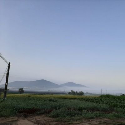 shengfamiaoxi's profile picture. 