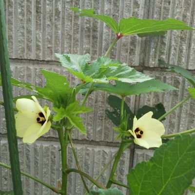 nanakic18295307's profile picture. 日記代わりに、始めます。