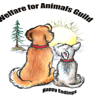 Welfare for Animals (@wag_sequim) 's Twitter Profile