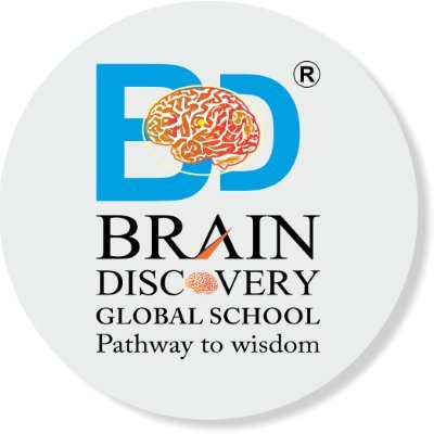 Brain Discovery Global School