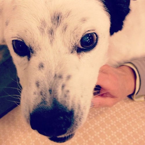 aassppp's profile picture. online editor