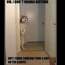 darrin bell - @BellDarrin - Twitter