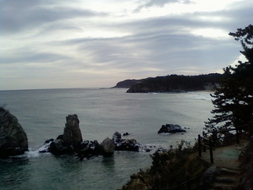 NeoBont's profile picture. 