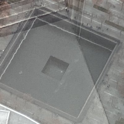 LilliDoodle's profile picture. shrink and scientist