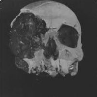 🇺🇸👽PlanetHDX (@hdx_bear141) 's Twitter Profile Photo