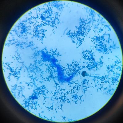 Nenderthal91's profile picture. Mbbs'21