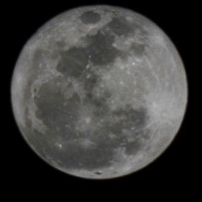 nataliciojr's profile picture. .