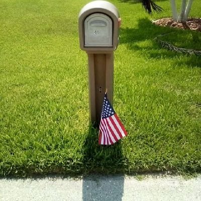 alin_scott18425's profile picture. 