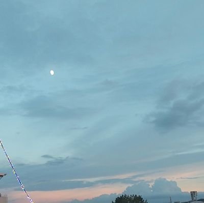 雑多閲覧垢