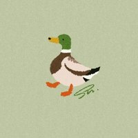 しん🦆 (@ss_iii_nn) 's Twitter Profile