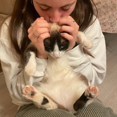 😽
