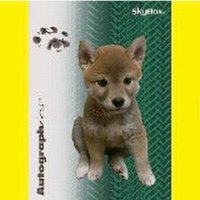 KEN BLOCK 直筆サイン Amazon.co.jp: Ken Block signature ケンブロック直筆サイン