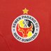 Semen Padang FC (@SemenpadangFCID) Twitter profile photo