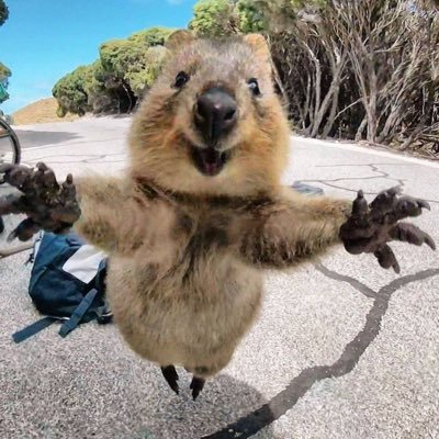 hamkrrdrama's profile picture. 
