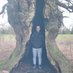 Daniel Spilsbury (@TreesNdForests) Twitter profile photo