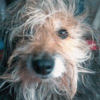 CharleyBarley (@charlot76376366) 's Twitter Profile Photo CharleyBarley (@charlot76376366) 's Twitter Profile Photo