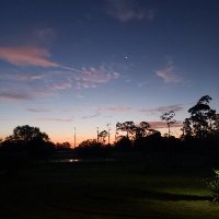 DependsOnMe3 (@dependsonme3) 's Twitter Profile